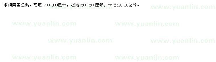 求購米徑10公分美國紅楓