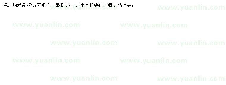 求購(gòu)米徑3公分五角楓