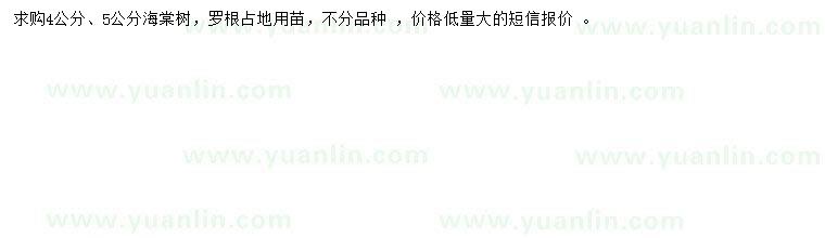 求購(gòu)4、5公分海棠苗