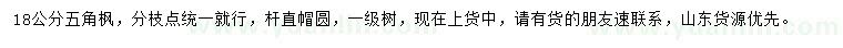 求購18公分五角楓