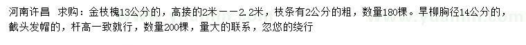求購(gòu)13公分金枝槐、14公分旱柳