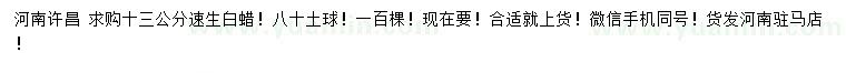 求購13公分速生白蠟
