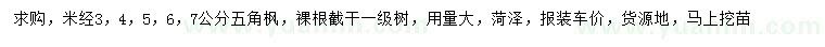 求購米徑3、4、5、6、7公分五角楓