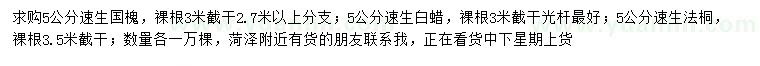 求購速生國槐、速生白蠟、速生法桐