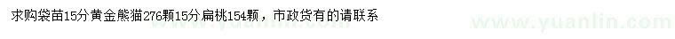 求購15公分黃金熊貓、扁桃