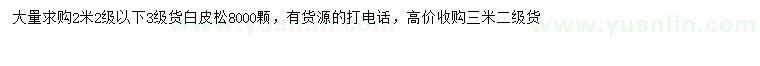 求購2.2米白皮松