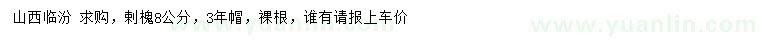 求購8公分剌槐