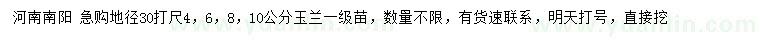 求購地徑30打尺4、6、8、10公分玉蘭