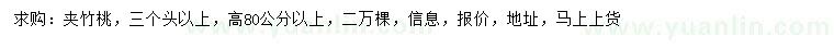 求購(gòu)高80公分以上夾竹桃