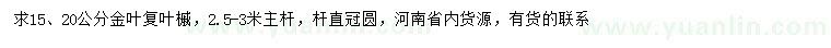 求購15、20公分金葉復(fù)葉槭