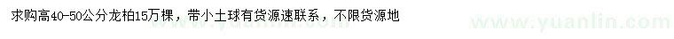 求購高40-50公分龍柏