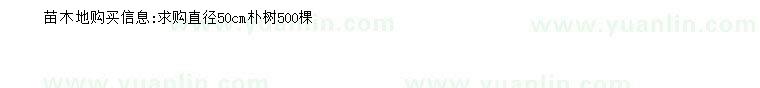 求購(gòu)直徑50公分樸樹(shù)
