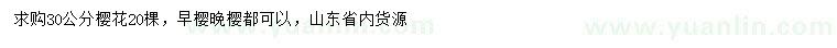 求購30公分櫻花