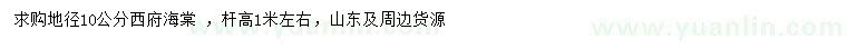 求購地徑10公分西府海棠