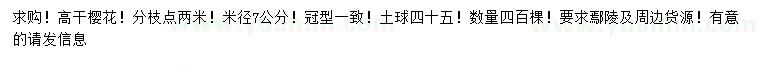 求購米徑7公分高桿櫻花