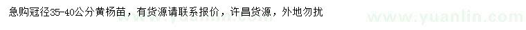 求購冠徑35-40公分黃楊苗