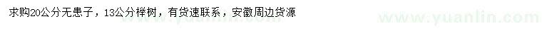 求購20公分無患子、13公分櫸樹