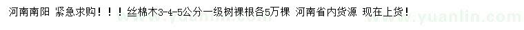 求購3、4、5公分絲棉木