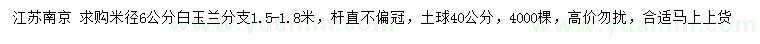 求購米徑6公分白玉蘭