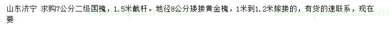求購7公分國槐、地徑8公分矮接黃金槐