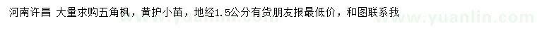 求購地徑1.5公分五角楓、黃護小苗