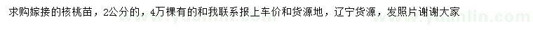 求購2公分嫁接核桃苗