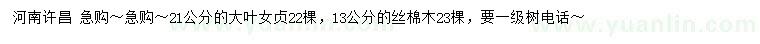 求購21公分大葉女貞、13公分絲棉木