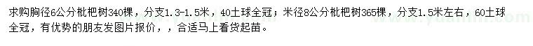 求購(gòu)胸徑6公分枇杷樹、米徑8公分枇杷樹
