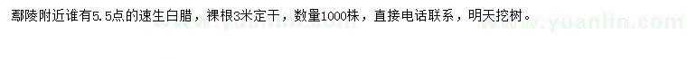 求購5.5公分速生白臘