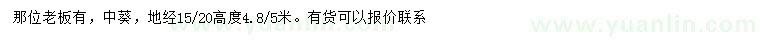 求購地徑15、20公分中葵