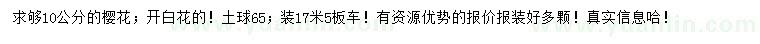 求購10公分櫻花