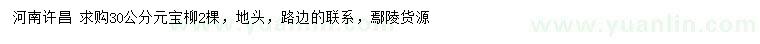 求購30公分元寶柳