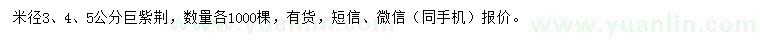 求購米徑3、4、5公分巨紫荊