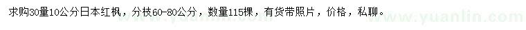 求購30量10公分日本紅楓
