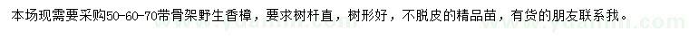 求購50、60、70公分野生香樟