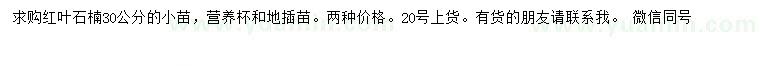 求購30公分紅葉石楠小苗