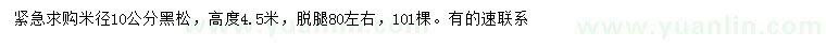 求購米徑10公分黑松