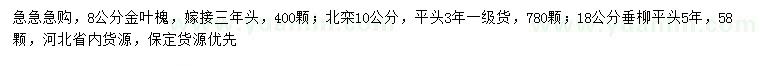 求購金葉槐、北欒、垂柳
