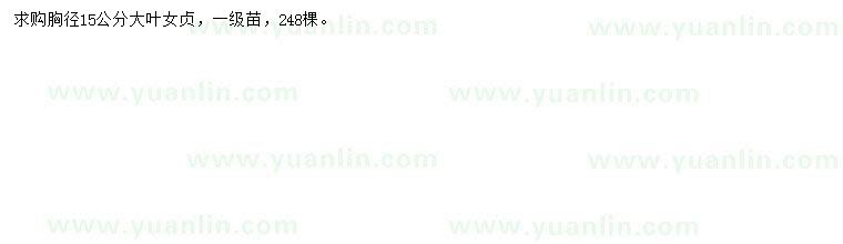 求購胸徑15公分大葉女貞苗