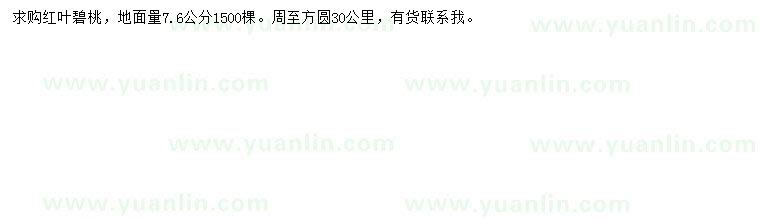 求購地徑量7.6公分紅葉碧桃