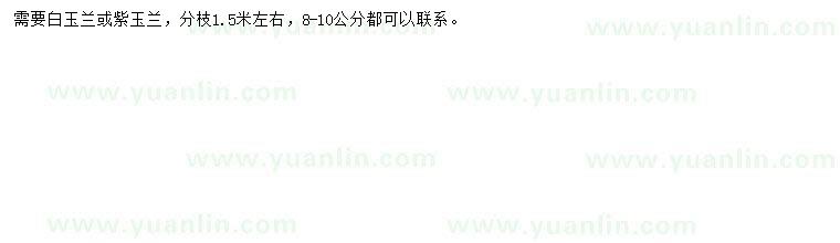求購(gòu)8-10公分白玉蘭、紫玉蘭