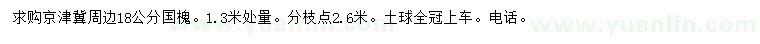 求購1.3米處量18公分國槐