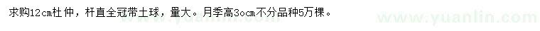 求購12公分杜仲、高30公分月季