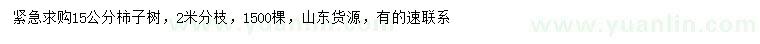 求購15公分柿子樹