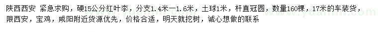 求購(gòu)硬15公分紅葉李
