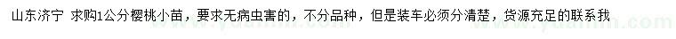 求購1公分櫻桃小苗