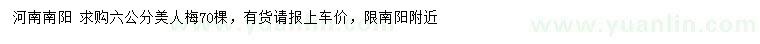 求購(gòu)6公分美人梅