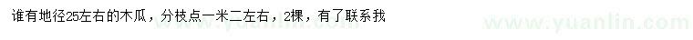 求購地徑25公分左右木瓜