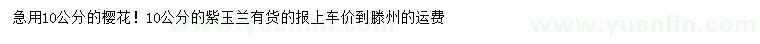 求購(gòu)10公分櫻花、紫玉蘭
