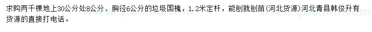 求購(gòu)30公分處量胸徑6、8公分垃圾國(guó)槐